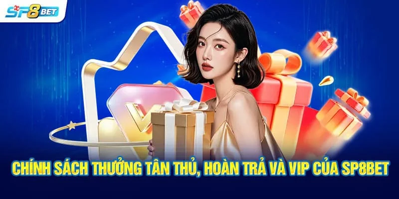 Chính sách thưởng tân thủ, hoàn trả và VIP của SP8BET