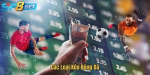 Các Loại Kèo Bóng Đá - Tổng Hợp Chi Tiết Tại Nhà Cái SP8BET