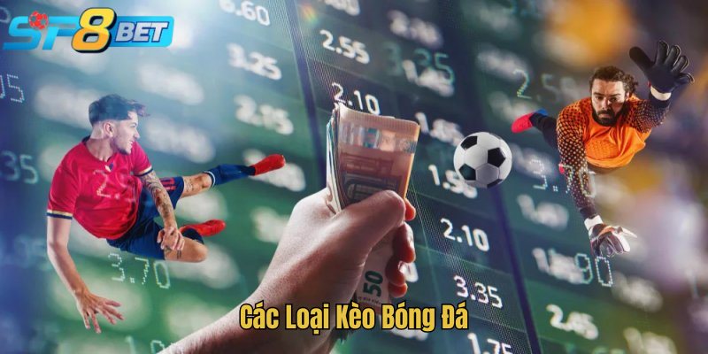 Các Loại Kèo Bóng Đá - Tổng Hợp Chi Tiết Tại Nhà Cái SP8BET