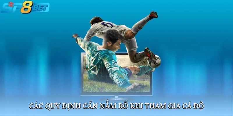 Các quy định cần nắm rõ khi tham gia cá độ