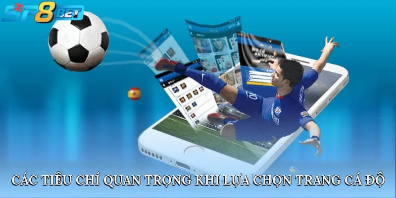 Các tiêu chí quan trọng khi lựa chọn trang cá độ