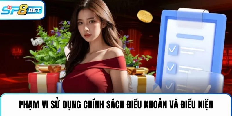 Phạm vi sử dụng chính sách điều khoản và điều kiện