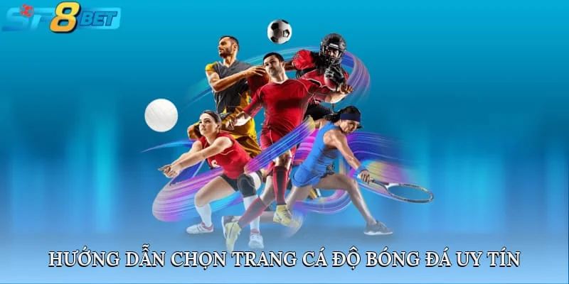 Hướng Dẫn Chọn Trang Cá Độ Bóng Đá Uy Tín Và Yếu Tố Lưu Ý