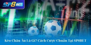 Kèo Châu Âu Là Gì? Cách Cược Chuẩn Tại SP8BET