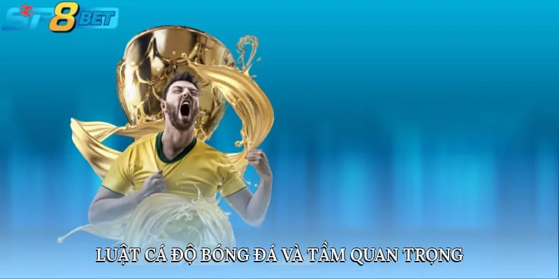 Luật cá độ bóng đá và tầm quan trọng của nó