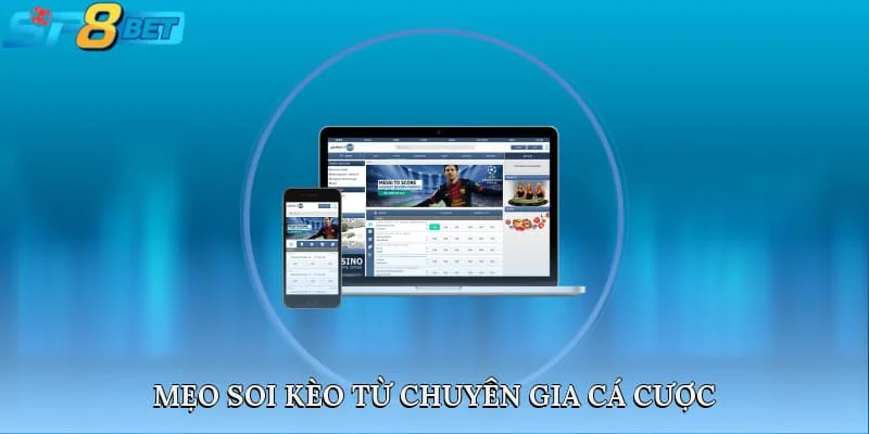 Mẹo soi kèo từ chuyên gia cá cược
