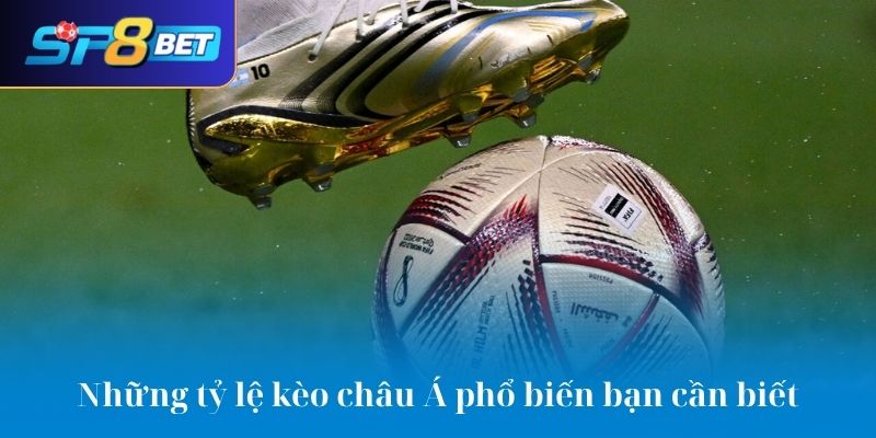 Những tỷ lệ kèo châu Á phổ biến bạn cần biết
