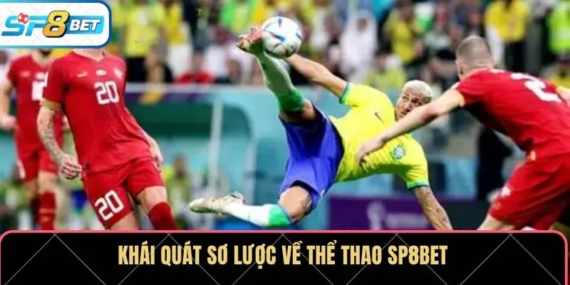 Khái quát sơ lược về thể thao SP8BET