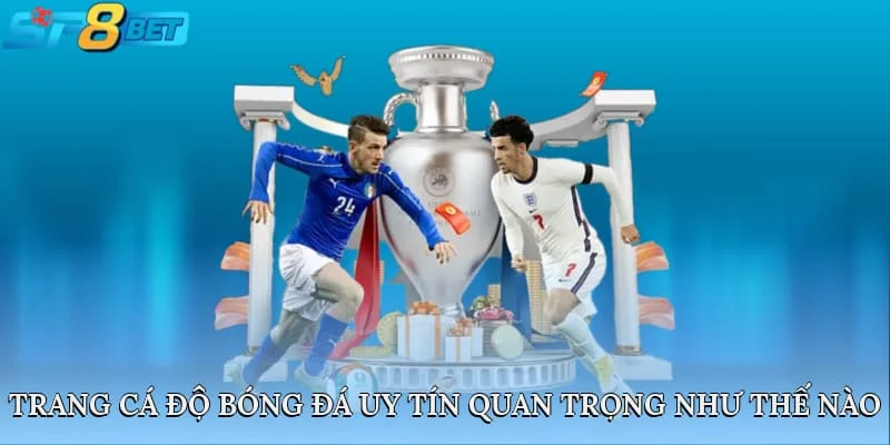 Trang cá độ bóng đá uy tín quan trọng như thế nào?