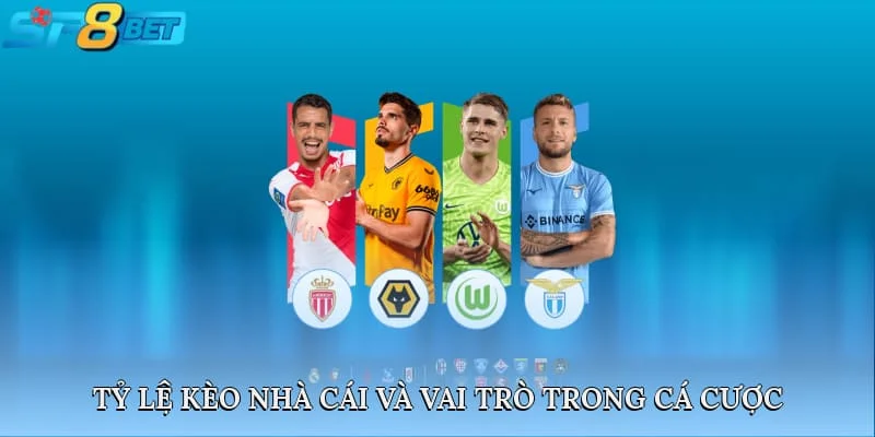 Tỷ lệ kèo nhà cái và vai trò trong cá cược