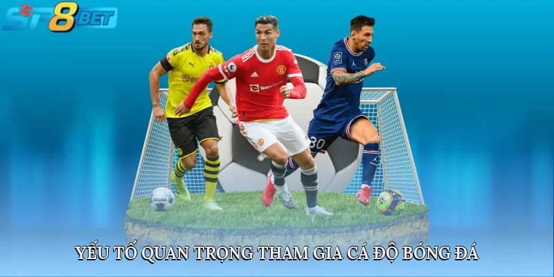 Yếu tố quan trọng tham gia cá độ bóng đá