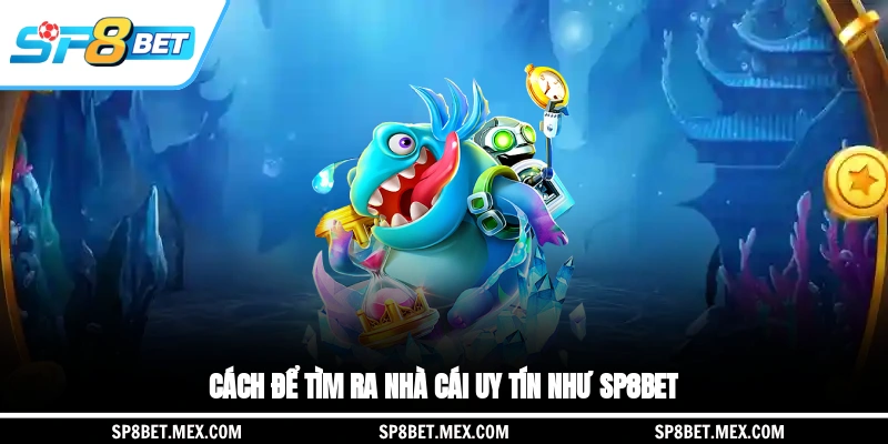 Cách để tìm ra nhà cái uy tín để giải trí như SP8BET