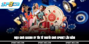 Mẹo chơi casino uy tín từ người chơi SP8BET lâu năm