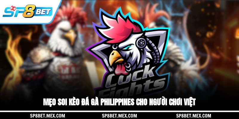 Mẹo soi kèo đá gà Philippines cho người chơi Việt