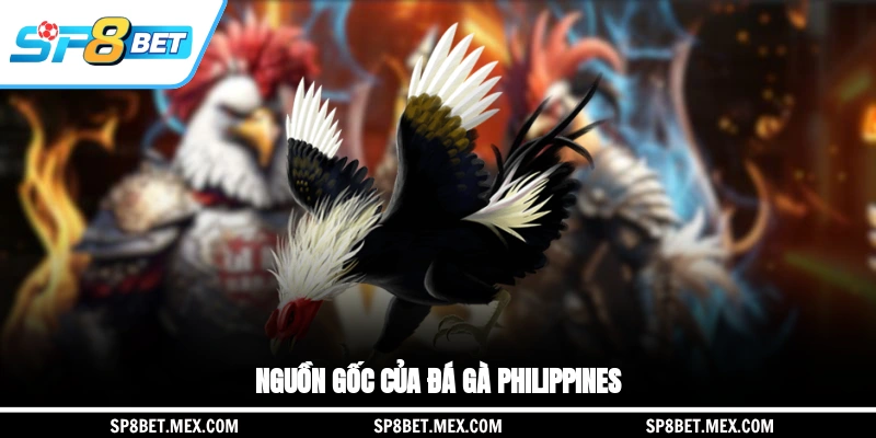 Nguồn gốc của đá gà Philippines